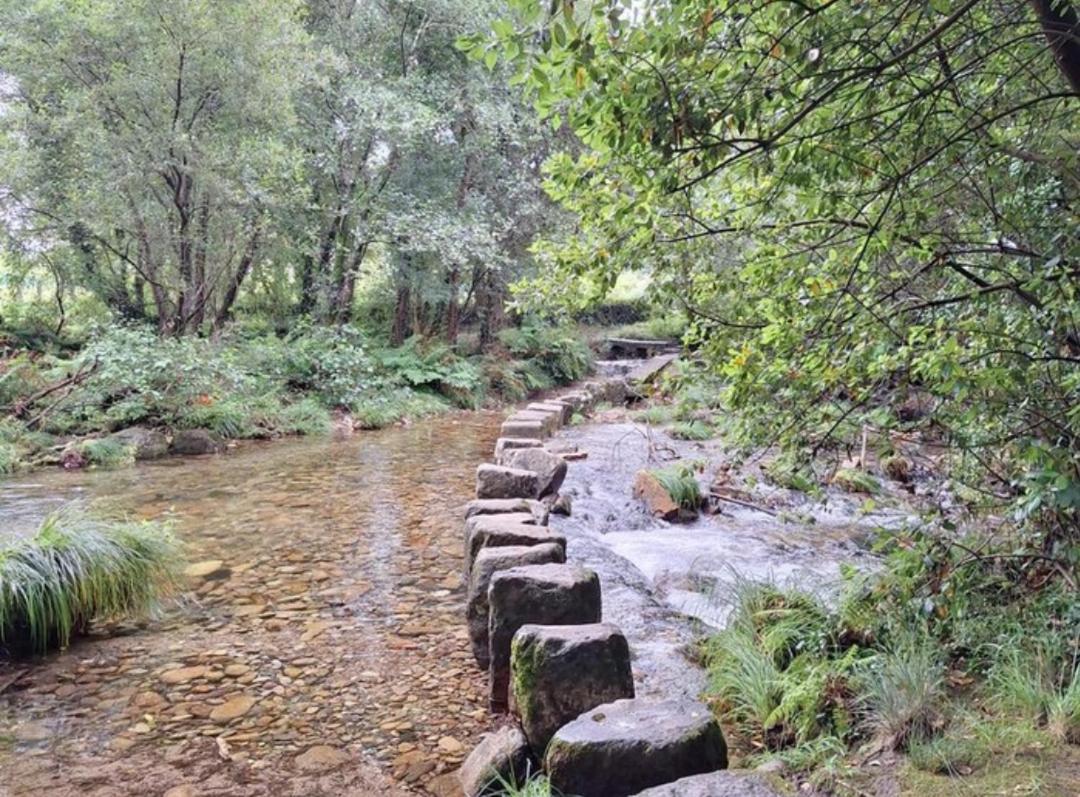 Piso Barbanza Arousa Boiro Bagian luar foto
